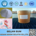 Wholesale free sample gellan gum industrial grade for white sugar